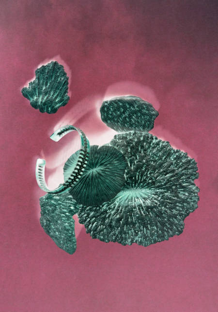 1000Camille_Enrico_02