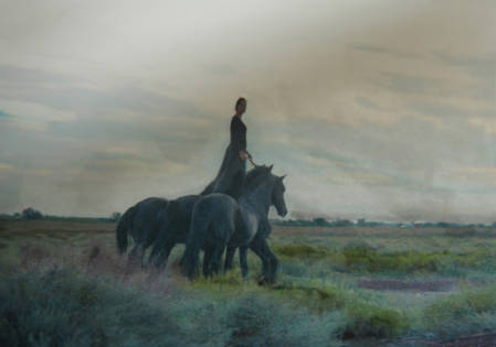 1000mise_page_centaure_fin_fin-34