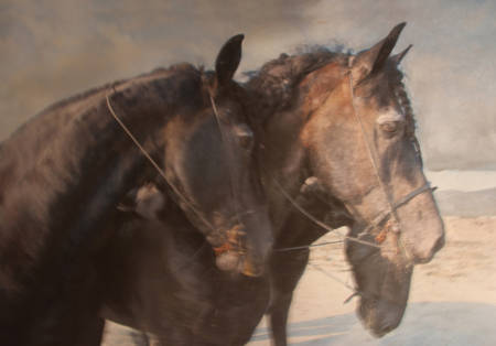 1000mise_page_centaure_fin_fin-36