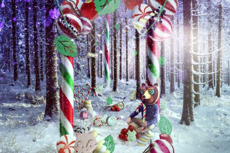 Snowed In Forest During Winter Time